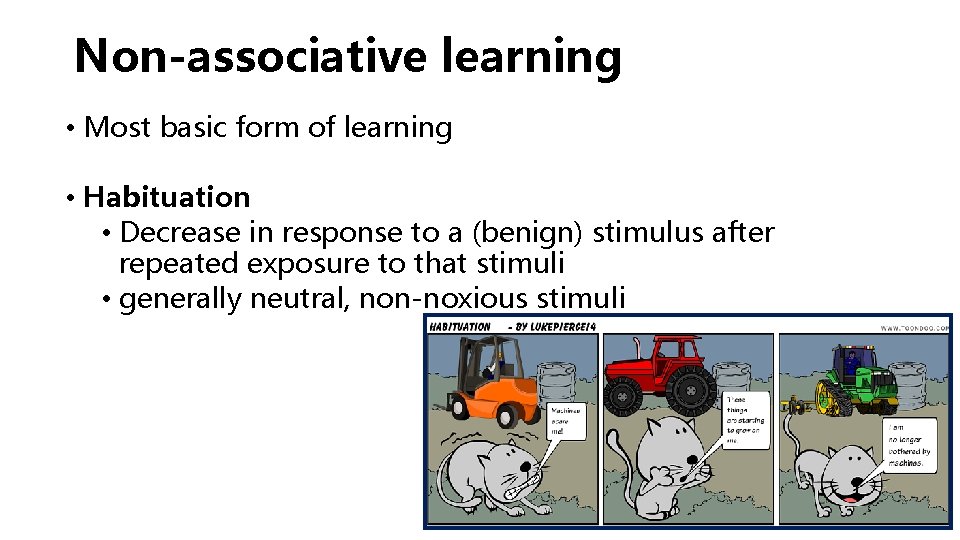 Non-associative learning • Most basic form of learning • Habituation • Decrease in response Non-associative learning • Most basic form of learning • Habituation • Decrease in response