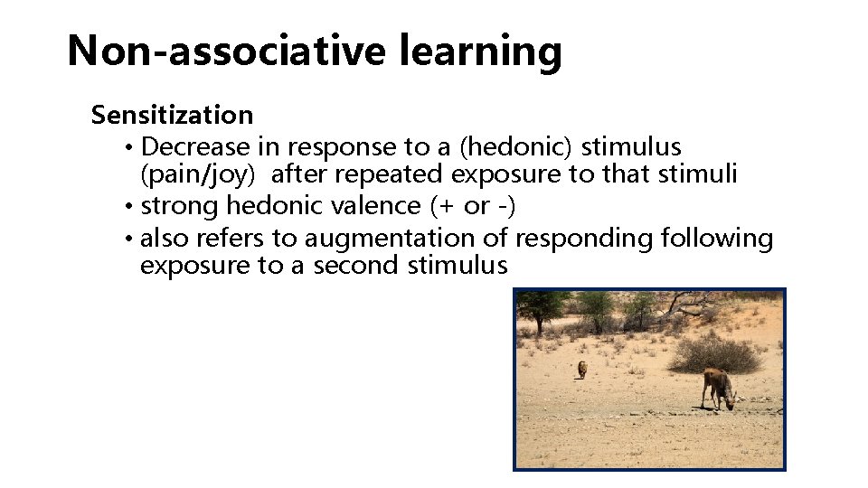 Non-associative learning Sensitization • Decrease in response to a (hedonic) stimulus (pain/joy) after repeated Non-associative learning Sensitization • Decrease in response to a (hedonic) stimulus (pain/joy) after repeated