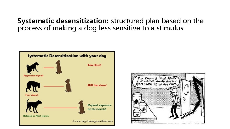Systematic desensitization: structured plan based on the process of making a dog less sensitive Systematic desensitization: structured plan based on the process of making a dog less sensitive