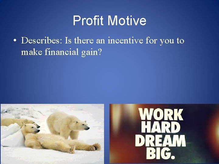 Profit Motive • Describes: Is there an incentive for you to make financial gain?