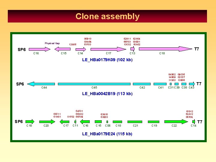Clone assembly Physical Gap 05 B 10 03 G 06 51 F 03 12