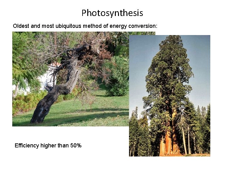 Photosynthesis Oldest and most ubiquitous method of energy conversion: Efficiency higher than 50% 