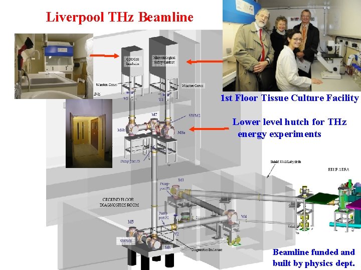 . . Liverpool THz Beamline 1 st Floor Tissue Culture Facility Lower level hutch