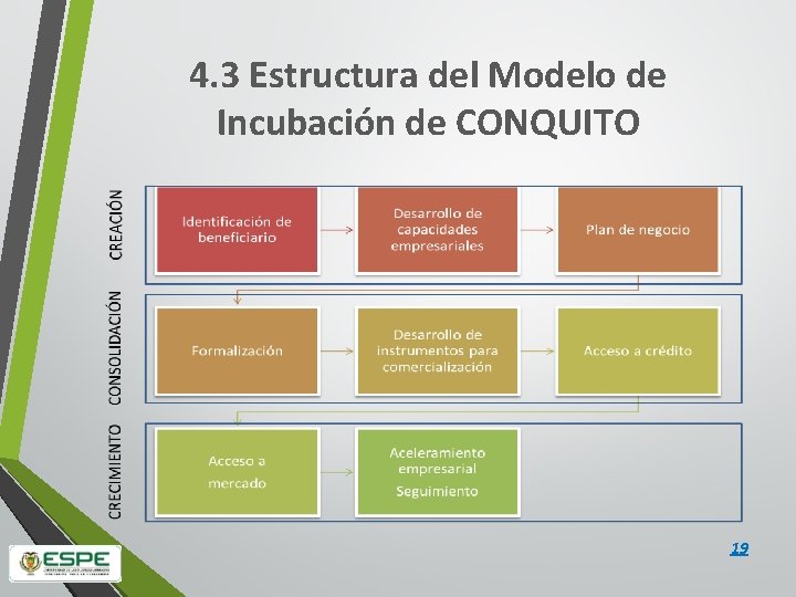 4. 3 Estructura del Modelo de Incubación de CONQUITO 19 