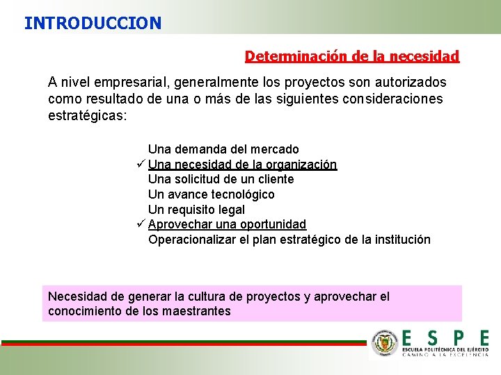 INTRODUCCION Determinación de la necesidad A nivel empresarial, generalmente los proyectos son autorizados como