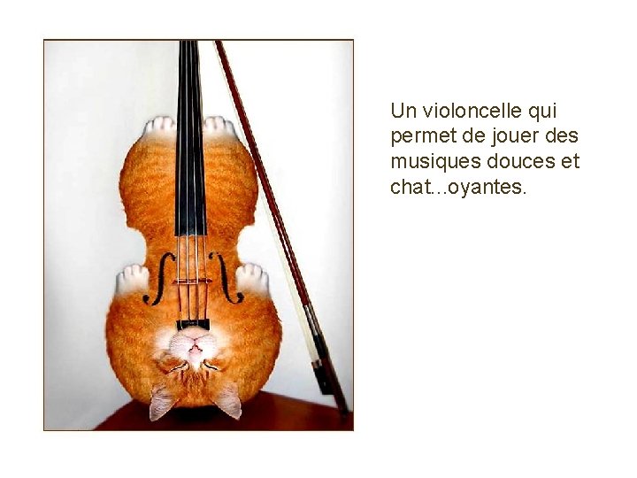 Un violoncelle qui permet de jouer des musiques douces et chat. . . oyantes.