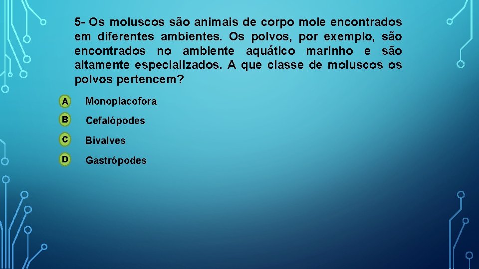5 - Os moluscos são animais de corpo mole encontrados em diferentes ambientes. Os