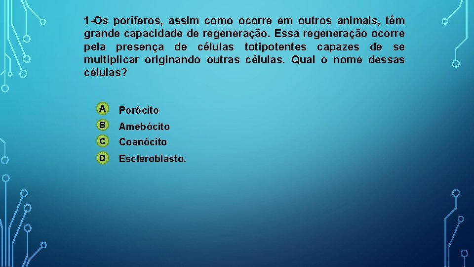 1 -Os poríferos, assim como ocorre em outros animais, têm grande capacidade de regeneração.