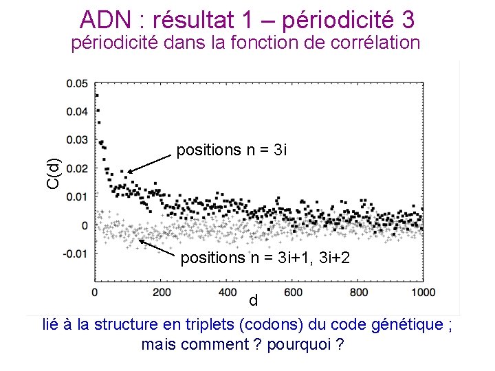 ADN : résultat 1 – périodicité 3 C(d) périodicité dans la fonction de corrélation