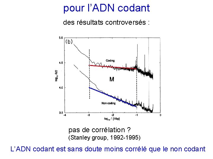 pour l’ADN codant des résultats controversés : pas de corrélation ? (Stanley group, 1992