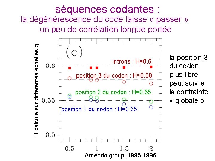 séquences codantes : H calculé sur différentes échelles q la dégénérescence du code laisse