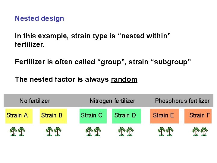 Nested design In this example, strain type is “nested within” fertilizer. Fertilizer is often