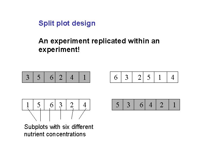 Split plot design An experiment replicated within an experiment! 3 5 6 2 4