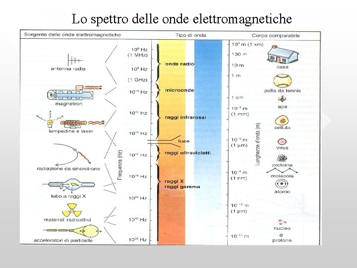 Lo spettro delle onde elettromagnetiche 