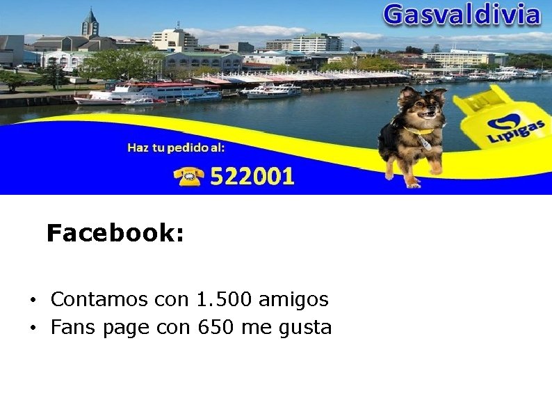 Facebook: • Contamos con 1. 500 amigos • Fans page con 650 me gusta