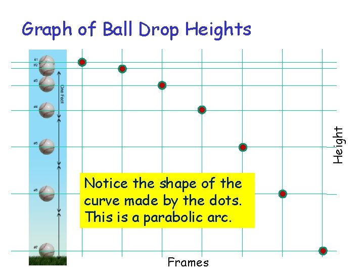 Height Graph of Ball Drop Heights Notice the shape of the curve made by