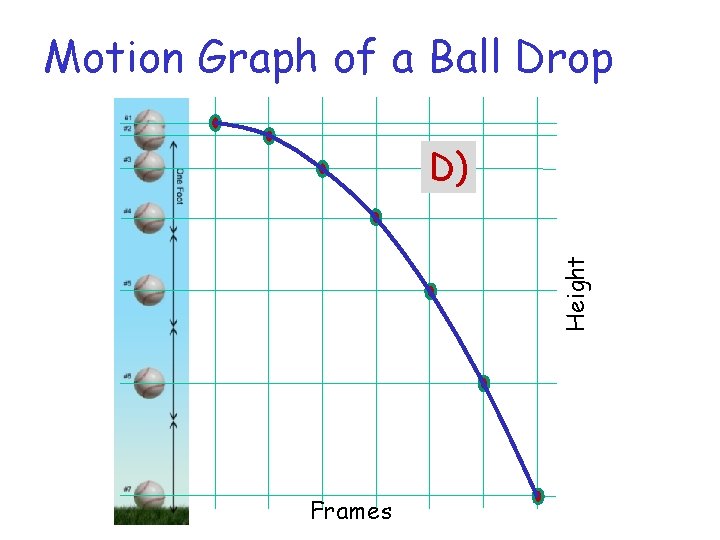 Motion Graph of a Ball Drop Height D) Frames 