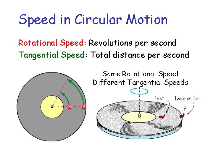 Speed in Circular Motion Rotational Speed: Revolutions per second Tangential Speed: Total distance per