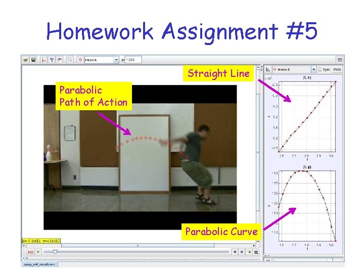 Homework Assignment #5 Straight Line Parabolic Path of Action Parabolic Curve 