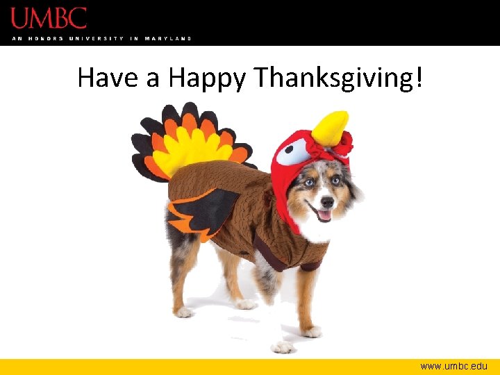 Have a Happy Thanksgiving! www. umbc. edu 