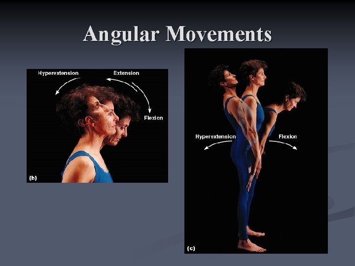 Angular Movements 