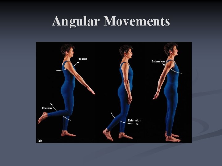 Angular Movements 