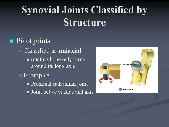 Synovial Joints Classified by Structure n Pivot joints n Classified as uniaxial n rotating