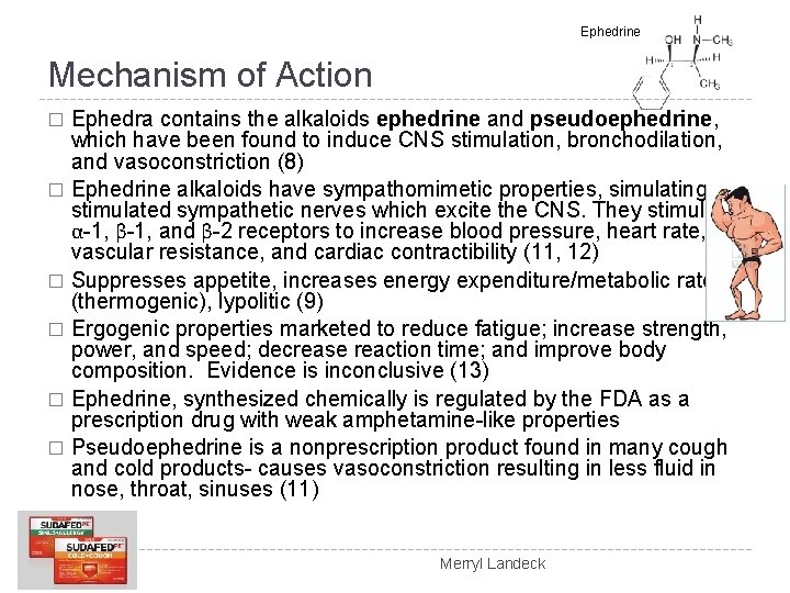 Ephedrine Mechanism of Action Ephedra contains the alkaloids ephedrine and pseudoephedrine, which have been