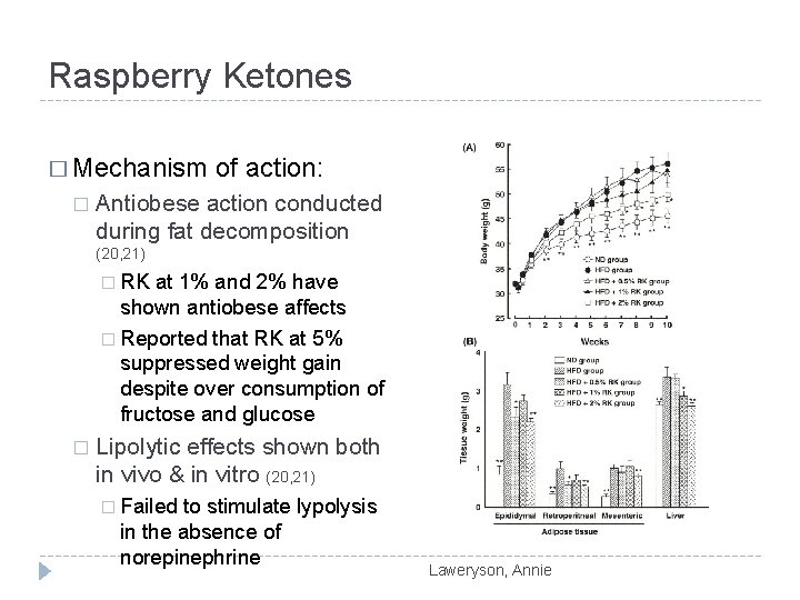 Raspberry Ketones � Mechanism of action: � Antiobese action conducted during fat decomposition (20,