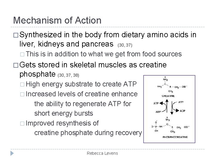 Mechanism of Action � Synthesized in the body from dietary amino acids in liver,