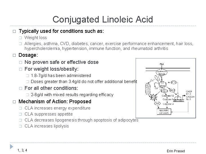 Conjugated Linoleic Acid � Typically used for conditions such as: � � � Weight