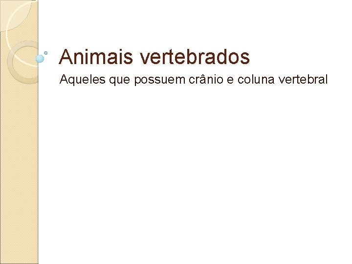 Animais vertebrados Aqueles que possuem crânio e coluna vertebral 