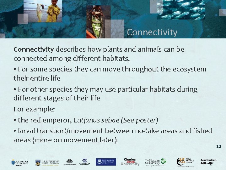 Connectivity describes how plants and animals can be connected among different habitats. • For