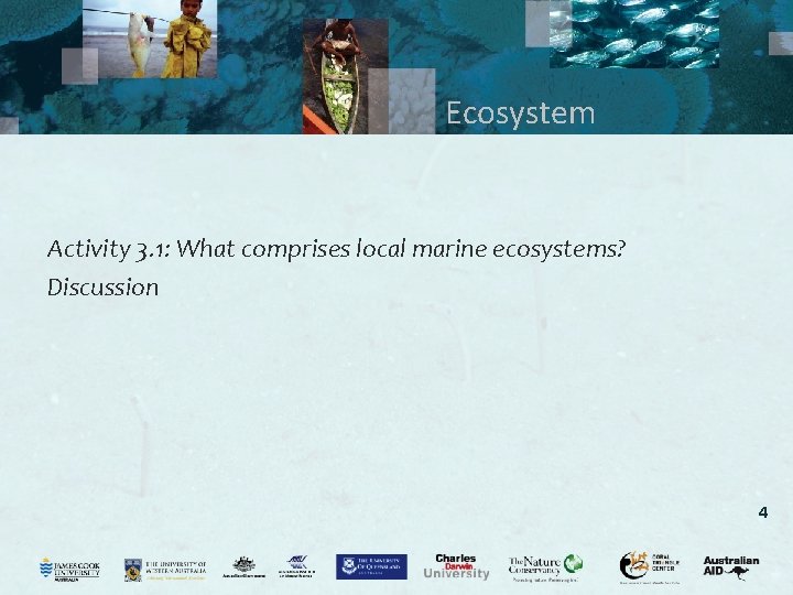 Ecosystem Activity 3. 1: What comprises local marine ecosystems? Discussion 4 