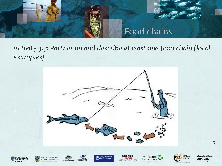 Food chains Activity 3. 3: Partner up and describe at least one food chain