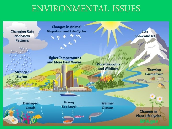 ENVIRONMENTAL ISSUES EPA. gov 