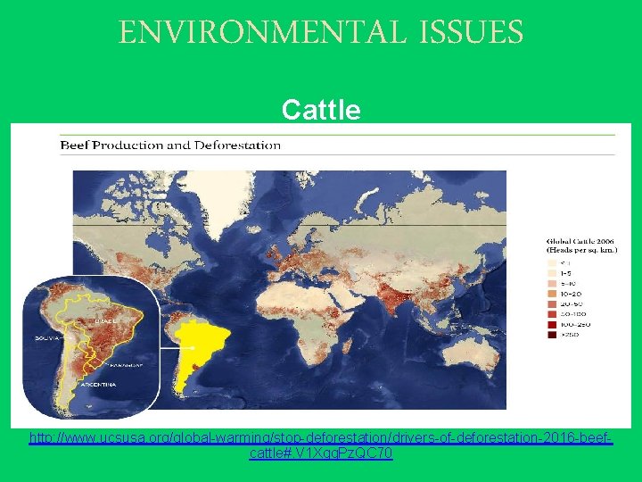ENVIRONMENTAL ISSUES Cattle http: //www. ucsusa. org/global-warming/stop-deforestation/drivers-of-deforestation-2016 -beefcattle#. V 1 Xqg. Pz. QC 70