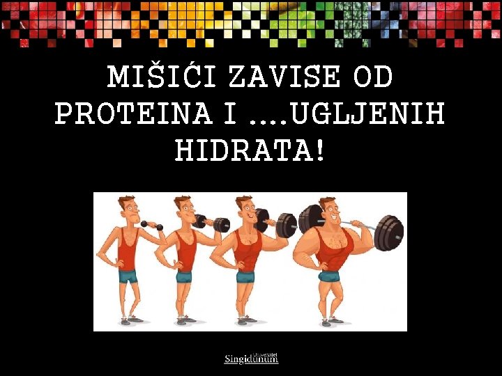 MIŠIĆI ZAVISE OD PROTEINA I. . UGLJENIH HIDRATA! 