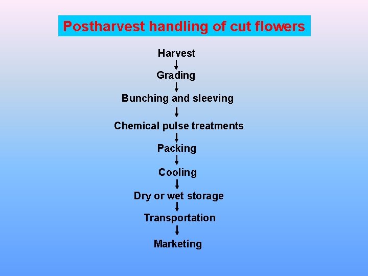 Postharvest handling of cut flowers Harvest Grading Bunching and sleeving Chemical pulse treatments Packing