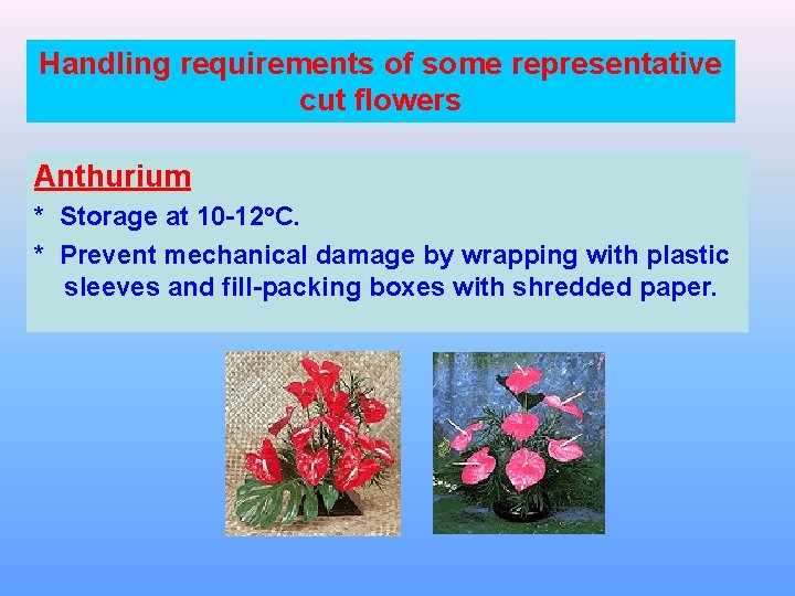 Handling requirements of some representative cut flowers Anthurium * Storage at 10 -12 C. Handling requirements of some representative cut flowers Anthurium * Storage at 10 -12 C.