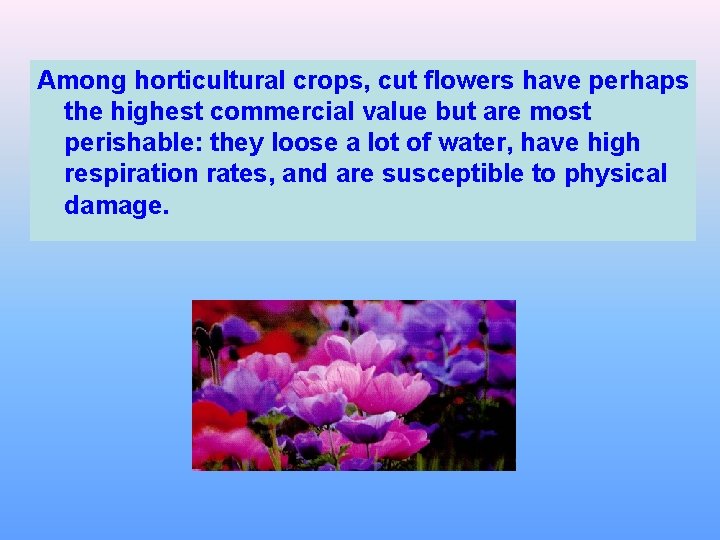 Among horticultural crops, cut flowers have perhaps the highest commercial value but are most