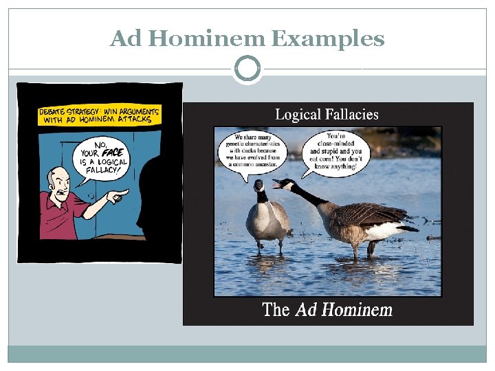 Ad Hominem Examples 