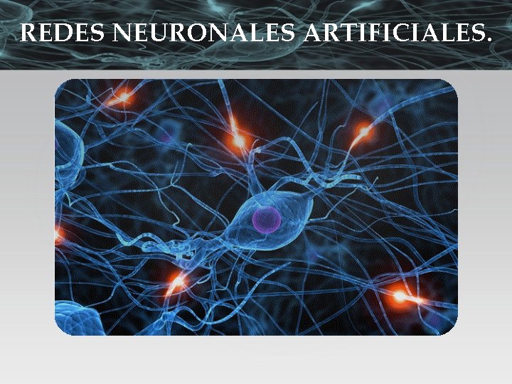 REDES NEURONALES ARTIFICIALES. 