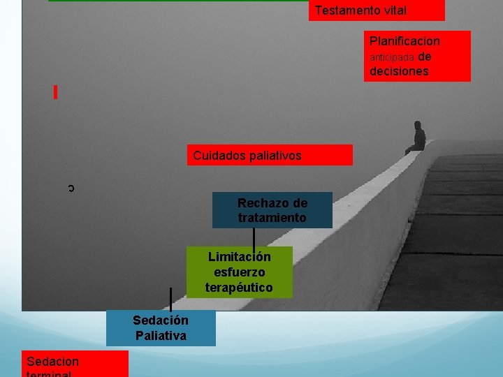 Testamento vital Planificacion anticipada de decisiones Cuidados paliativos c Rechazo de tratamiento Limitación esfuerzo