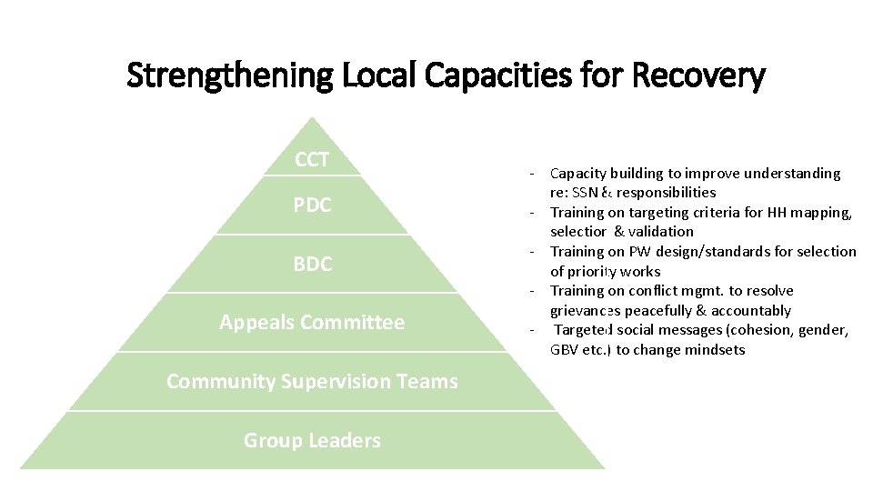 Strengthening Local Capacities for Recovery CCT PDC BDC Appeals Committee Community Supervision Teams Group