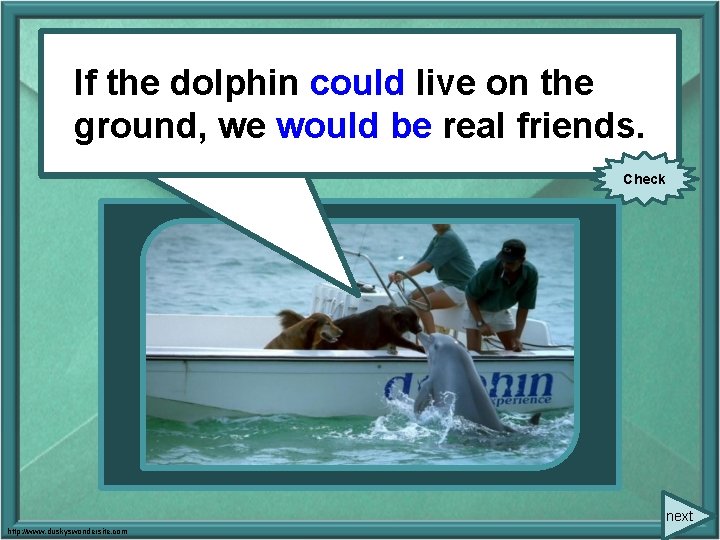 If. Ifthe thedolphincould (can)liveon onthe ground, berealfriends. ground, we wewould (to be) Check next