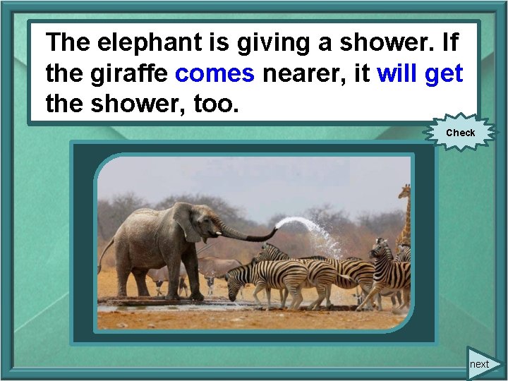 The elephant is giving a shower. If the giraffe comes nearer, it will get