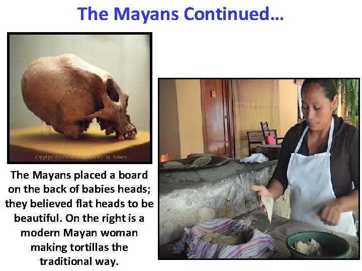 The Mayans Continued… The Mayans placed a board on the back of babies heads; The Mayans Continued… The Mayans placed a board on the back of babies heads;