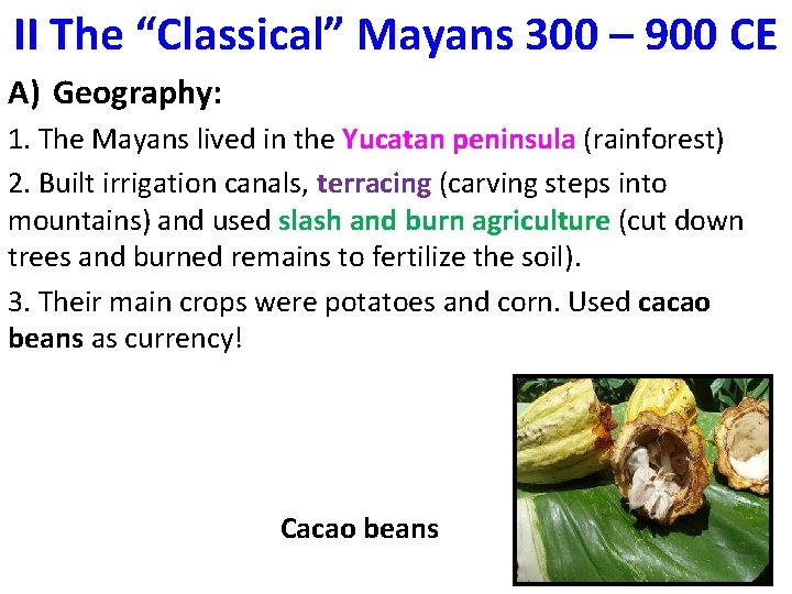 II The “Classical” Mayans 300 – 900 CE A) Geography: 1. The Mayans lived II The “Classical” Mayans 300 – 900 CE A) Geography: 1. The Mayans lived