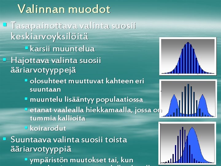 Valinnan muodot § Tasapainottava valinta suosii keskiarvoyksilöitä § karsii muuntelua § Hajottava valinta suosii